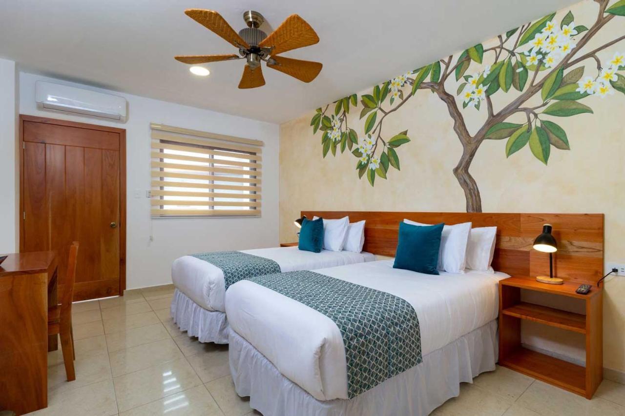 Plaza Luna Suites Puerto Ayora  Extérieur photo