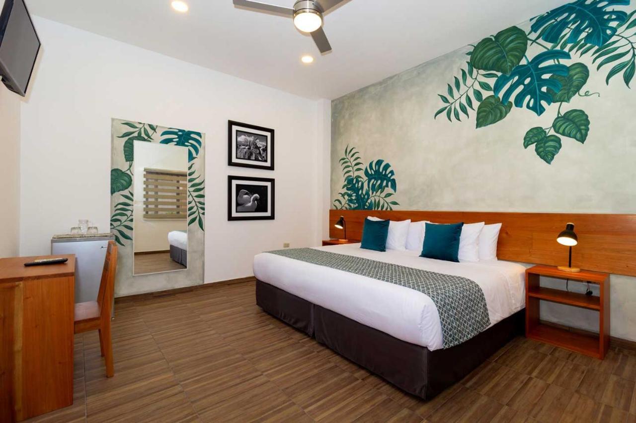 Plaza Luna Suites Puerto Ayora  Extérieur photo